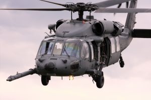Image of a Black Hawk